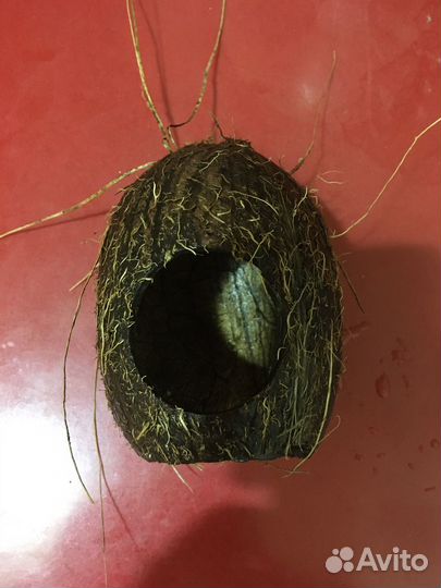 Кокос-грот для аквариума