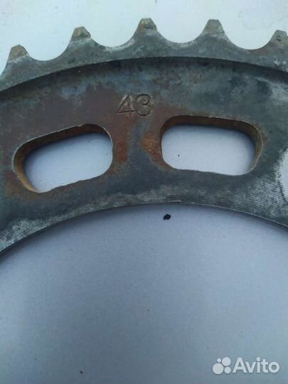 Звезда 43 зуба Honda CBR 600 f4i