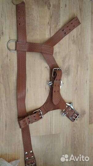Шлейка для крупных пород собак
