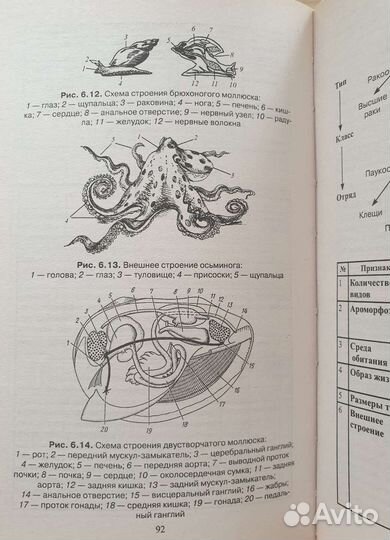 Биология в таблицах, схемах и рисунках