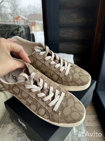 Кеды женские coach оригинал