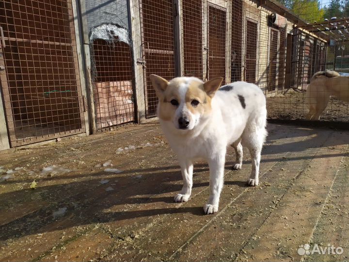 Дуняша ищет семью