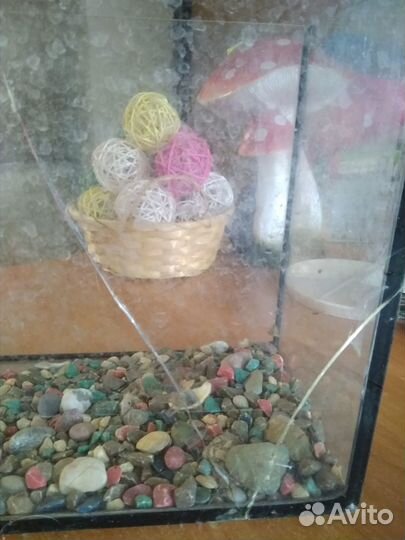Аквариум маленький