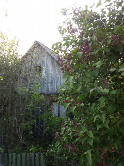 Дача 32 м² на участке 6 сот.