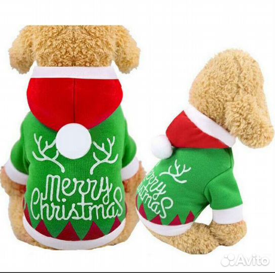 Новогодний фэмели лук