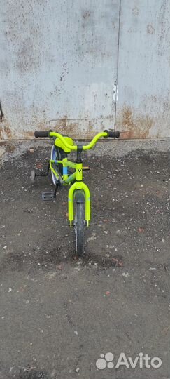 Детский Велосипед welt Dingo 16 (2021)
