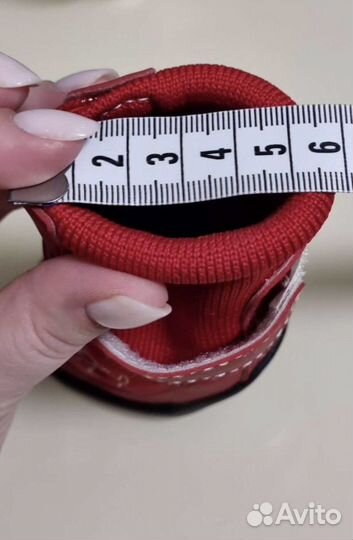 Обувь для собак