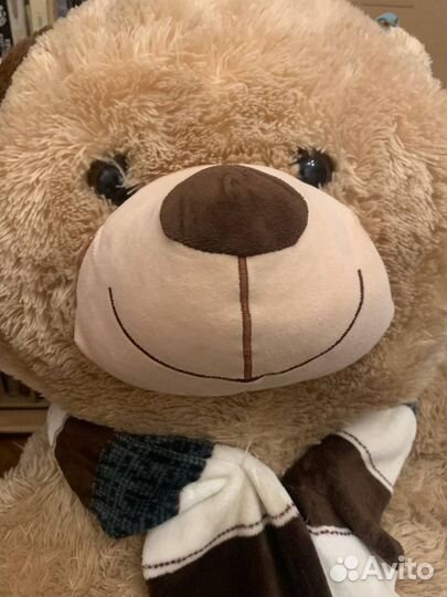 Большой медведь