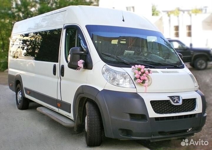 Заказ Автобусов и автомобилей, трансфер