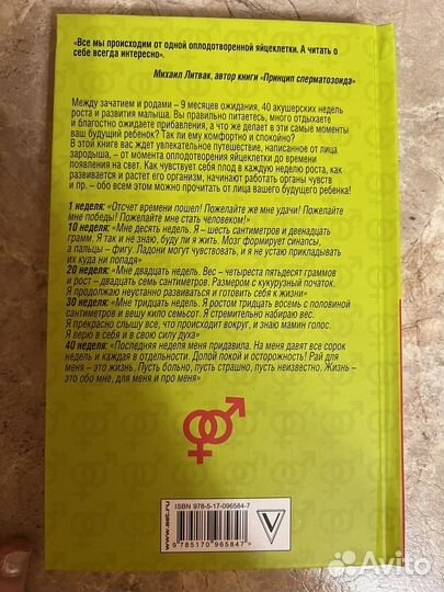 Инна Перс. Принцип яйцеклетки