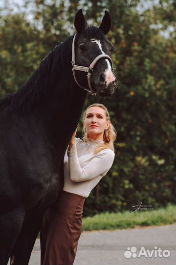 Предлагается к случке