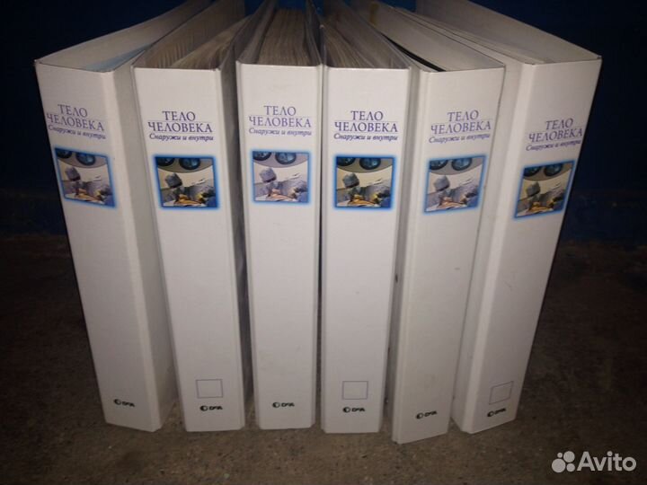 Тело человека