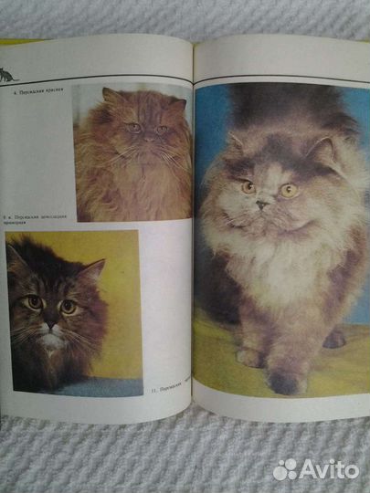 Справочные пособия, З. Фрейд