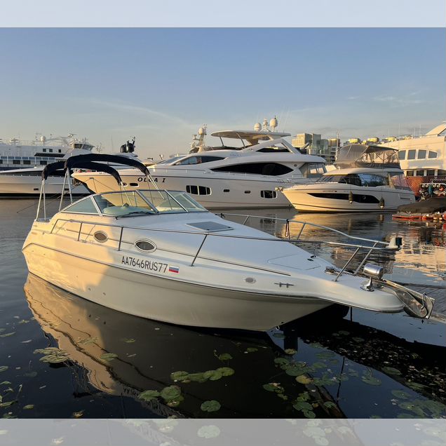Катер Sea Ray 255 Sundancer
