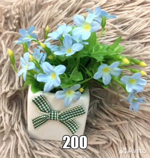 Новые цветочные композиции