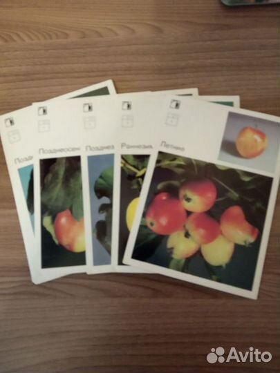 Набор открыток СССР 