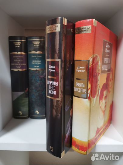 Джон Ирвинг 2 книги
