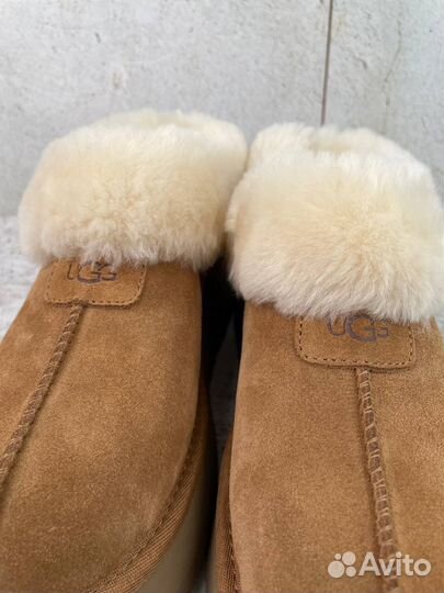 Угги Ugg Platform Slipper