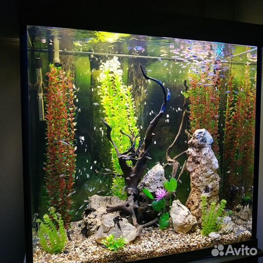 Обслуживание аквариумов