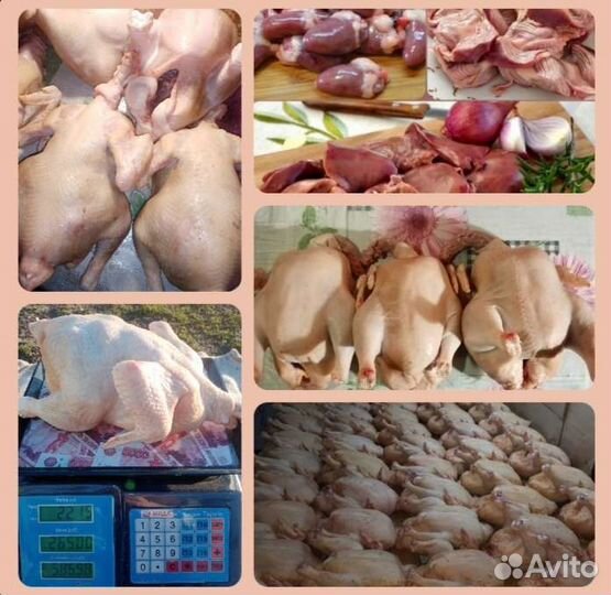 Домашнее мясо кур