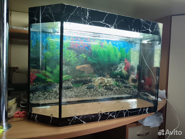 Аквариум