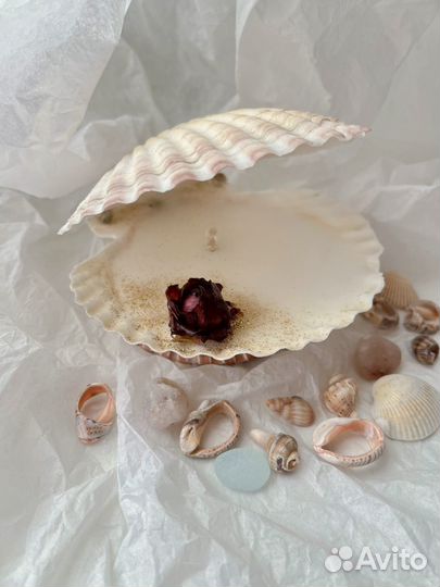 Свеча в двойной морской раковине