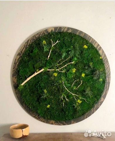 Мох стабилизированный круг фитокартина