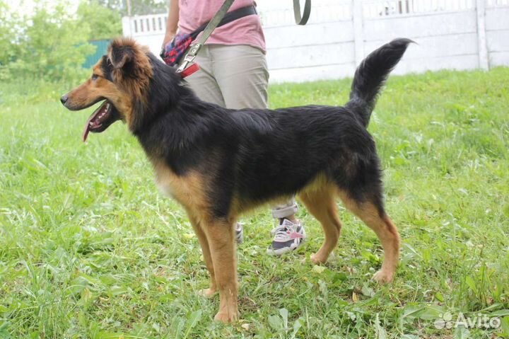 Детство шенка не должно быть за решеткой