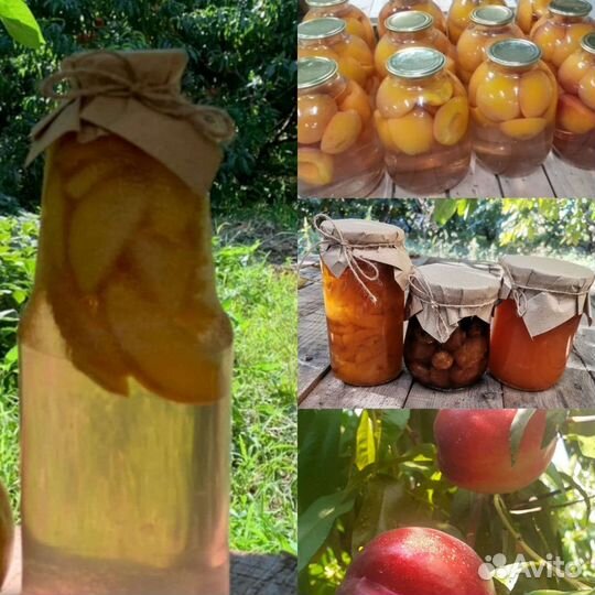 Домашние компоты