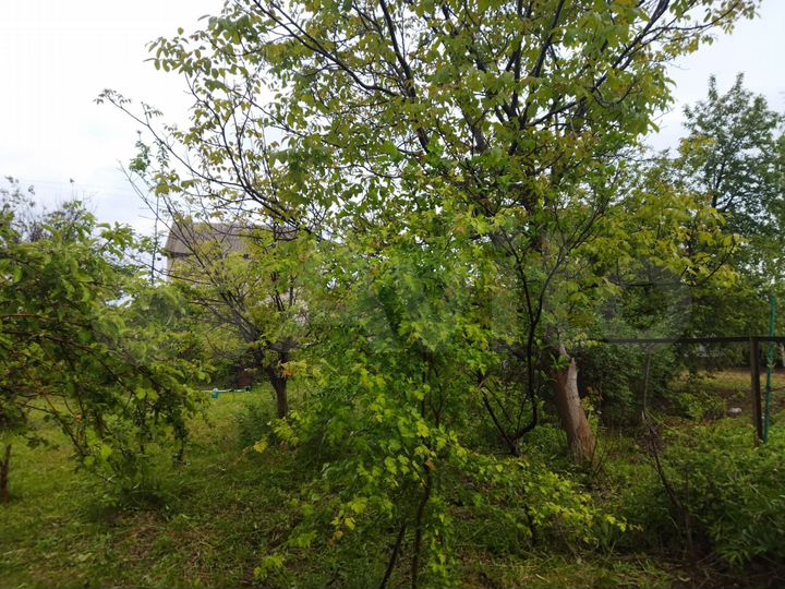 Дача 15 м² на участке 6 сот.