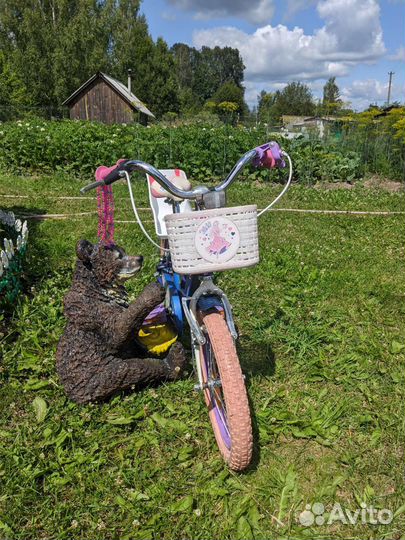 Детский велосипед stern vicky 16