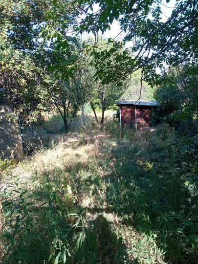 Участок 6 сот. (СНТ, ДНП)