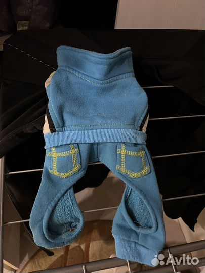 Костюм для маленькой породы собак