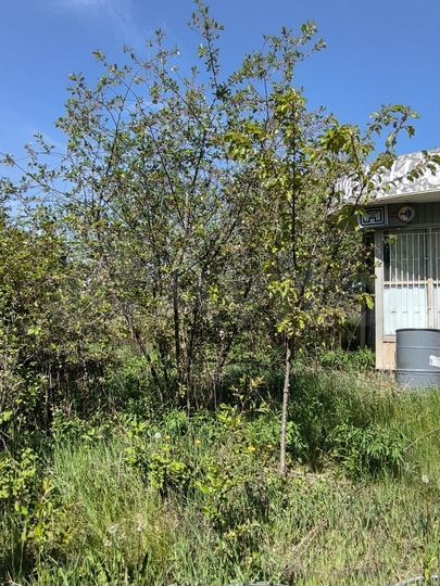 Дача 12 м² на участке 10 сот.