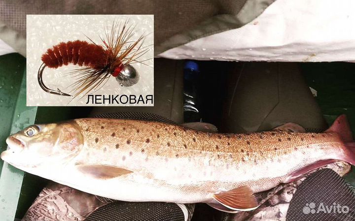 Уловистая мушка на Хариуса и Ленка-коричневая сине