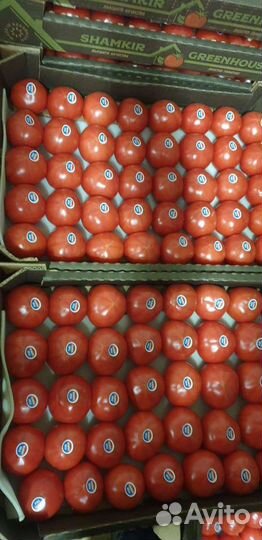 Помидор Азербайджан цена за 7.5кг ящик высший сорт