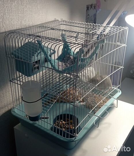 Новая клетка для хомячков, в упаковке