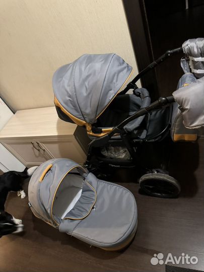 Коляска 2 в 1 rant