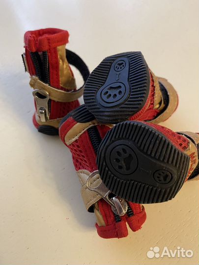 Обувь для маленьких собак