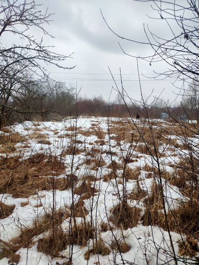 Участок 8 сот. (СНТ, ДНП)