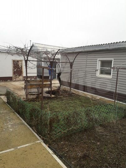 Дом 56 м² на участке 20 сот.