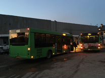 Городской автобус МАЗ 206, 2014