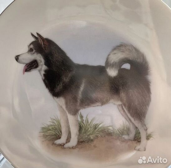 Декоративная тарелка «собаки»