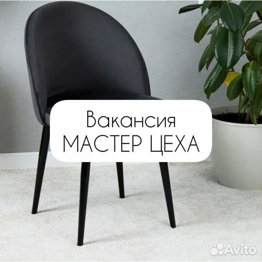 Мастер цеха