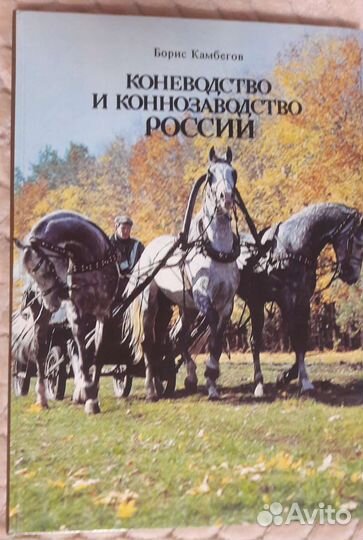 Коневодство и коннозаводство России Камбегов