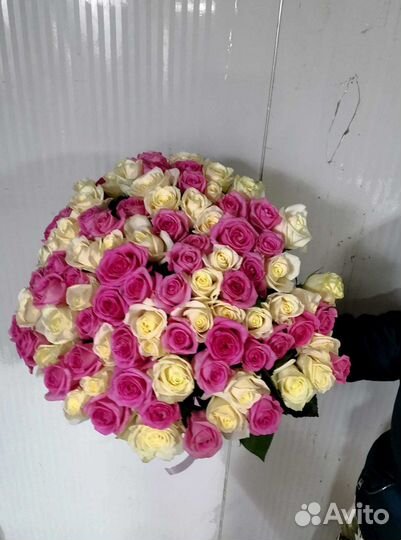 Букет цветов. Розы 101 шт