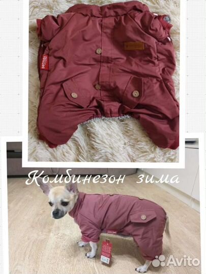 Одежда для маленьких собак