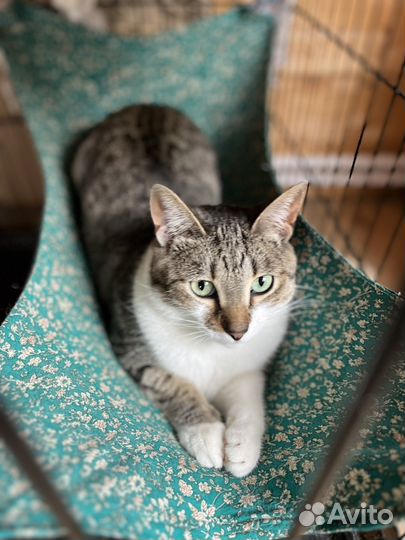 Почему меня никто не замечает