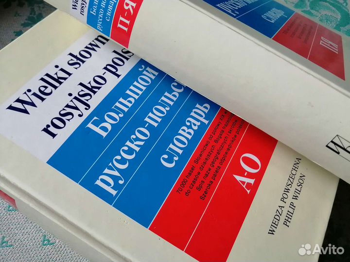 Большой русско-польский словарь