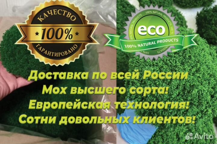 Стабилизированный мох чищенный